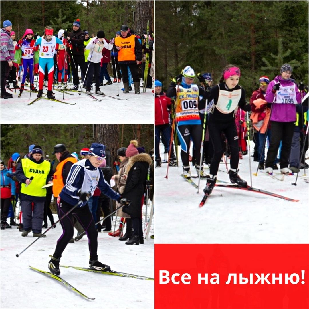 Контрольная работа: Организация и проведение соревнований по лыжным гонкам